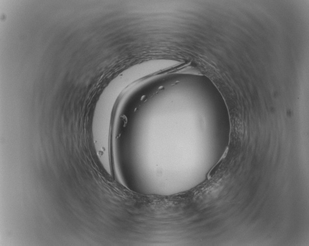 X0000078240818200611251236