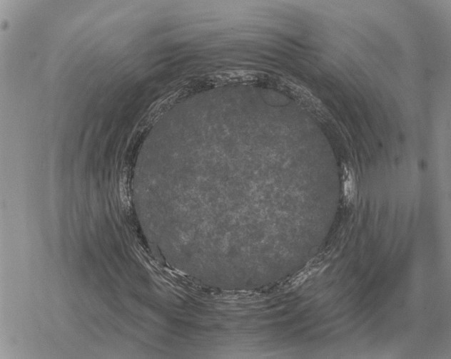 X0000078240819200611251236