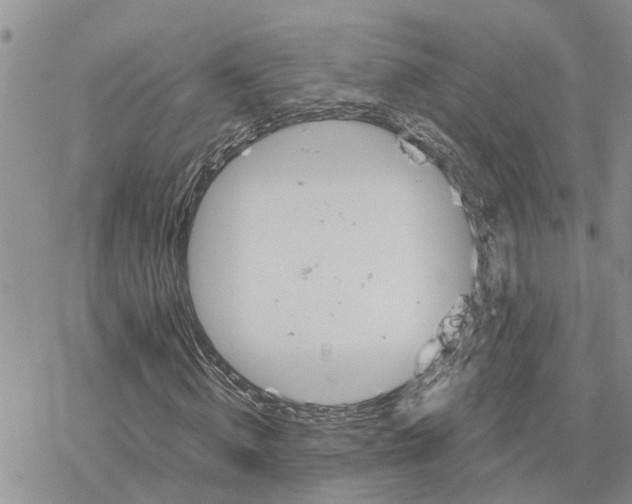 X0000078240820200611251236