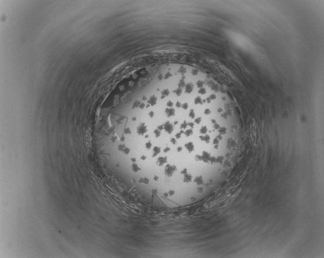 X0000078240821200611251236