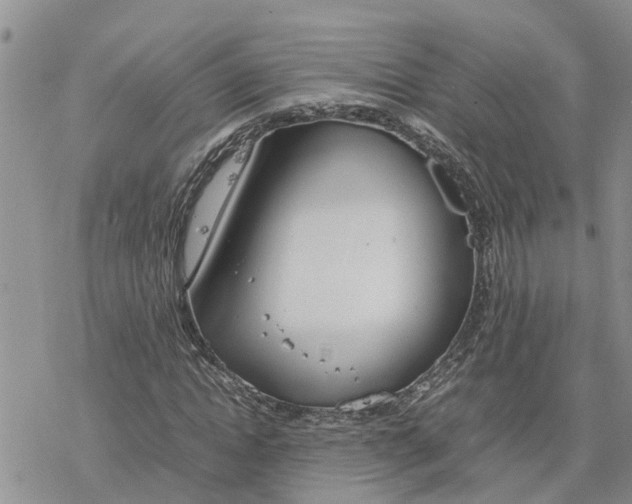 X0000078240822200611251236