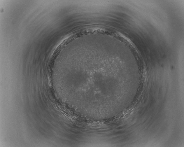 X0000078240823200611251236