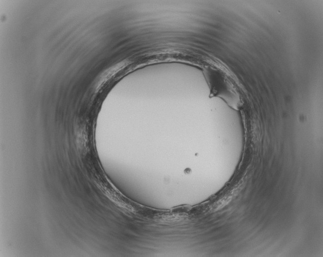 X0000078240826200611251236