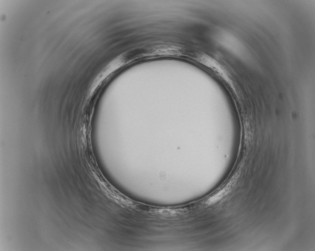 X0000078240827200611251236