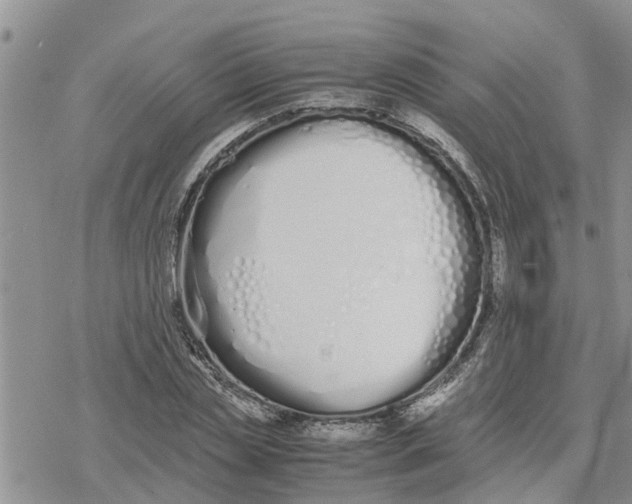 X0000078240829200611251236