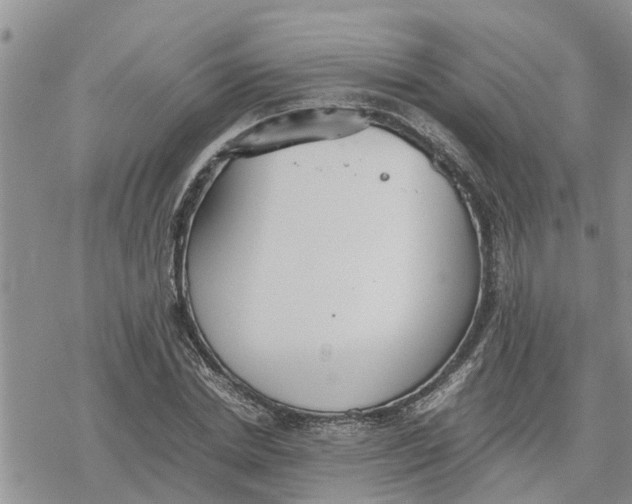 X0000078240830200611251237