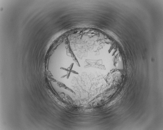 X0000078240831200611251237