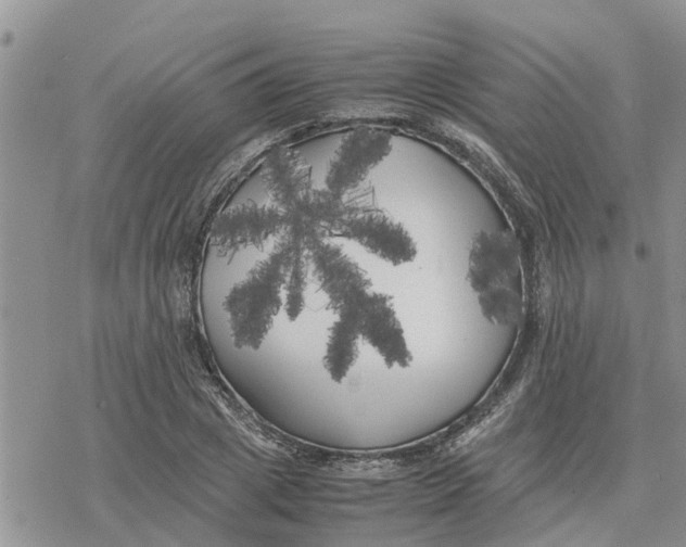 X0000078240833200611251237