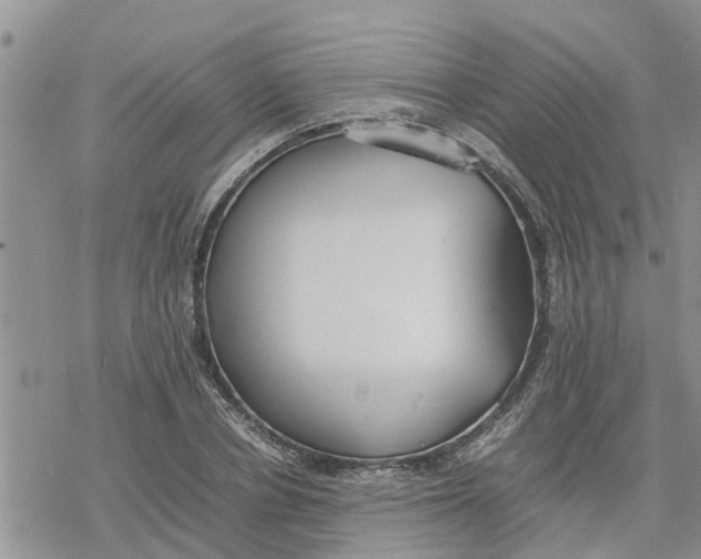 X0000078240834200611251237