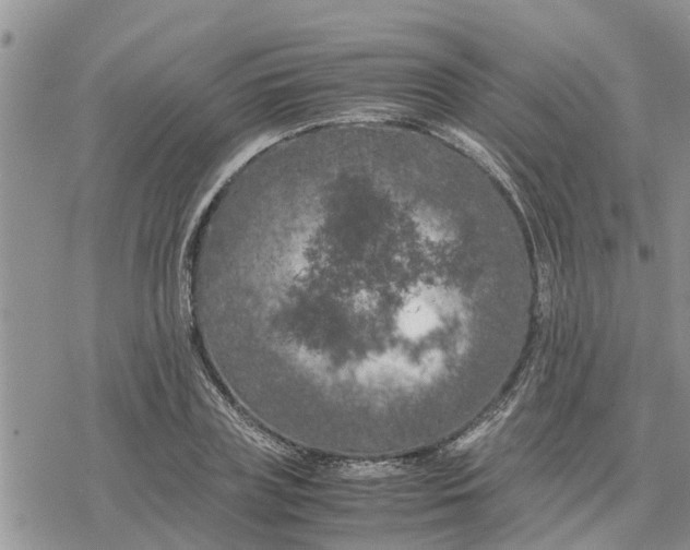 X0000078240835200611251237