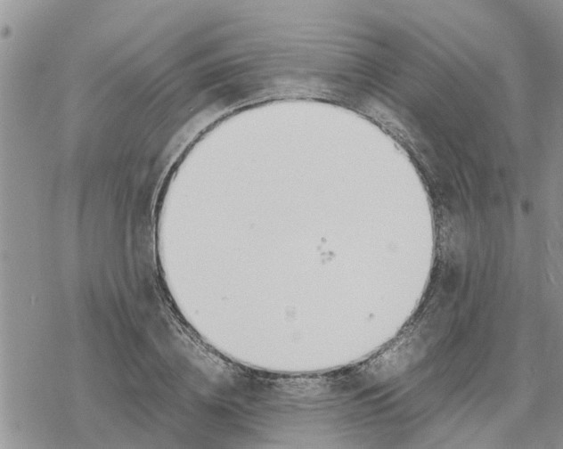 X0000078240836200611251237