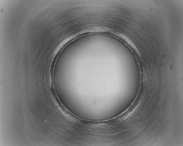 X0000078240837200611251237