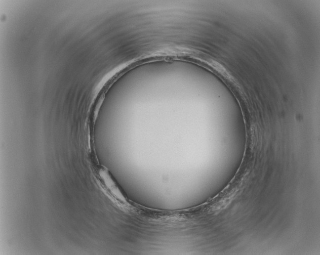 X0000078240838200611251237