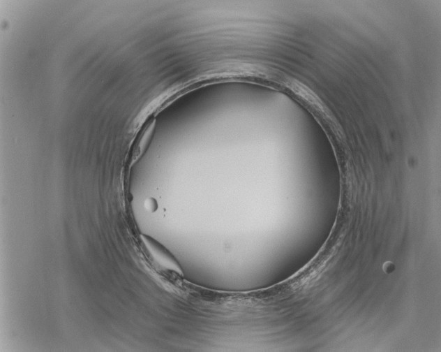 X0000078240842200611251237