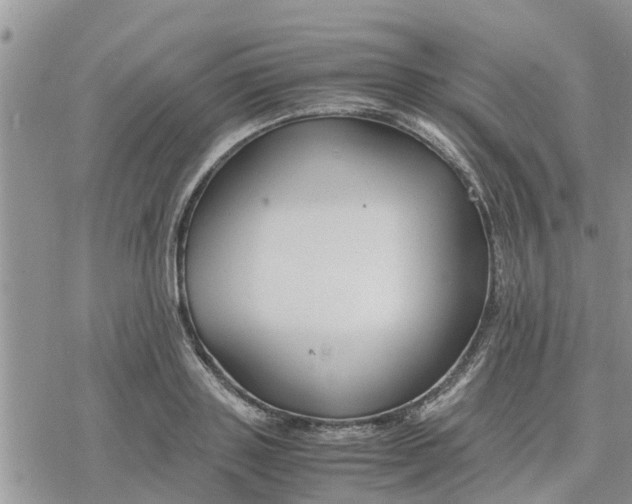 X0000078240843200611251237