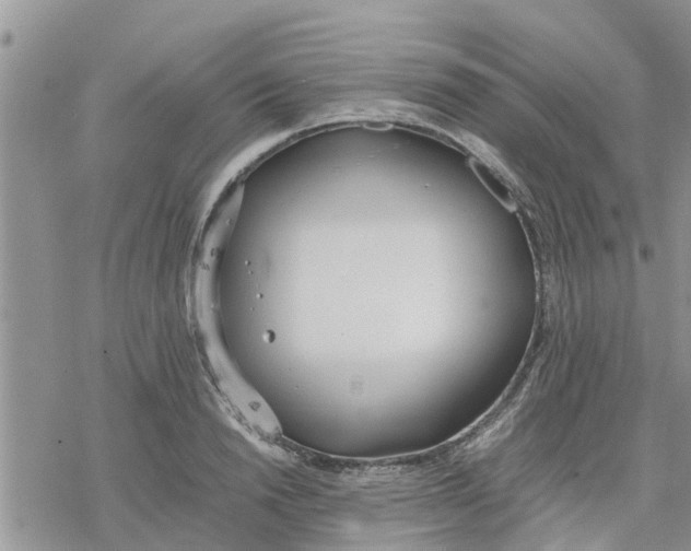 X0000078240846200611251237