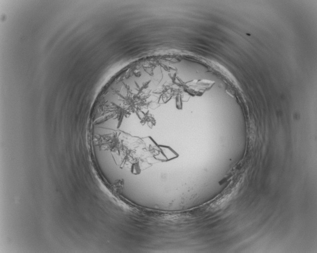 X0000078240847200611251237