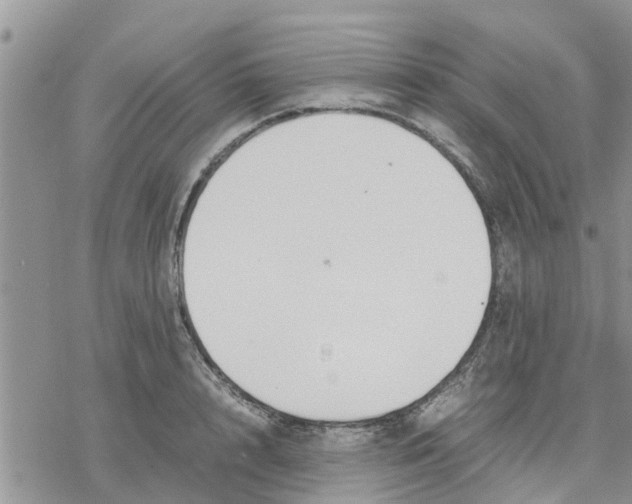 X0000078240848200611251237