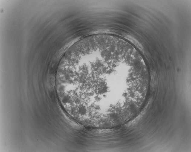 X0000078240849200611251237