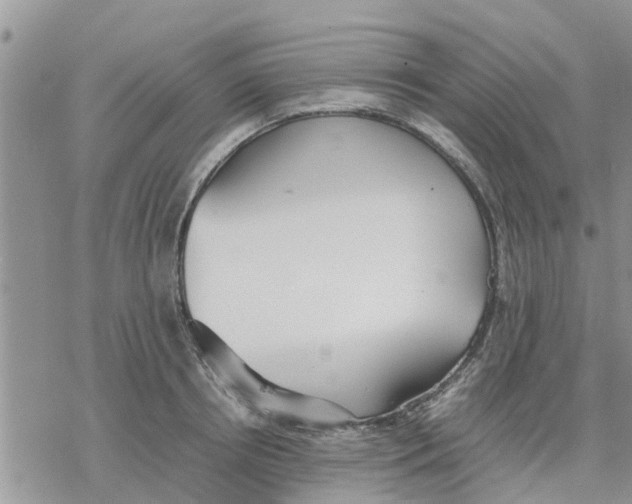 X0000078240850200611251237