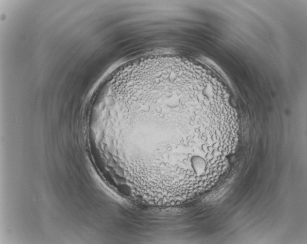 X0000078240851200611251237