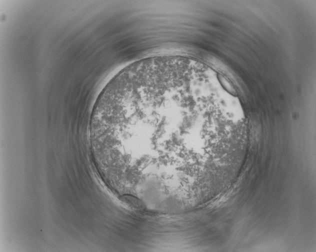 X0000078240852200611251237