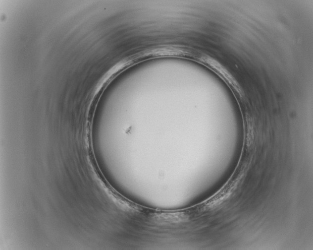 X0000078240853200611251237