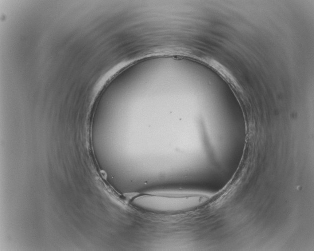 X0000078240854200611251237