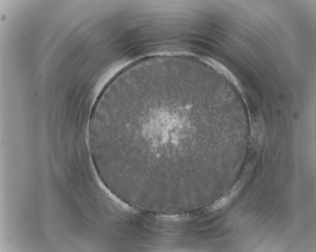 X0000078240855200611251237