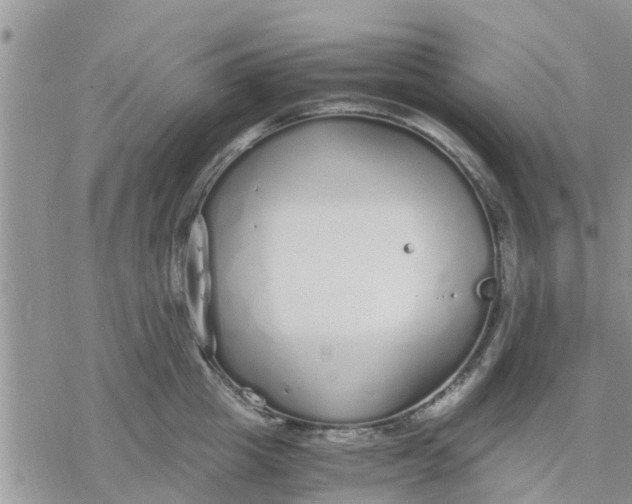 X0000078240857200611251237