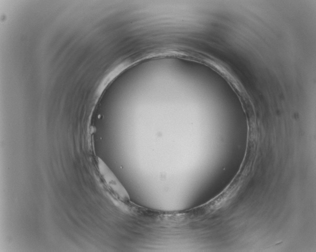 X0000078240858200611251237