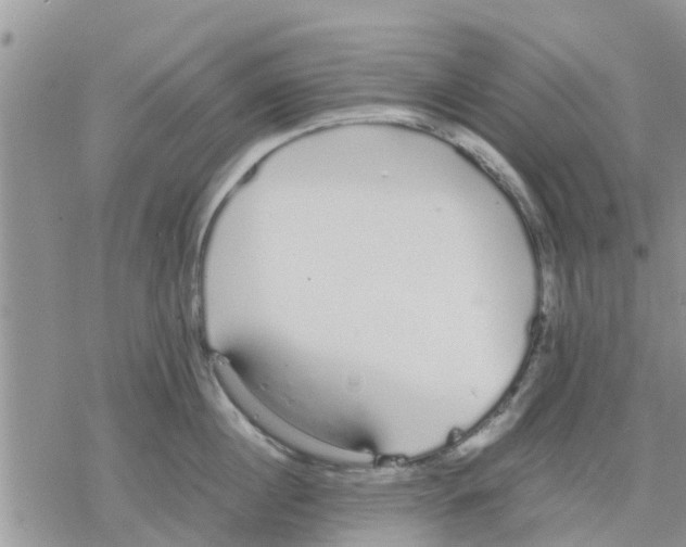 X0000078240860200611251237