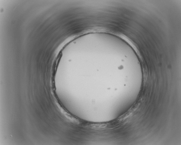 X0000078240861200611251237