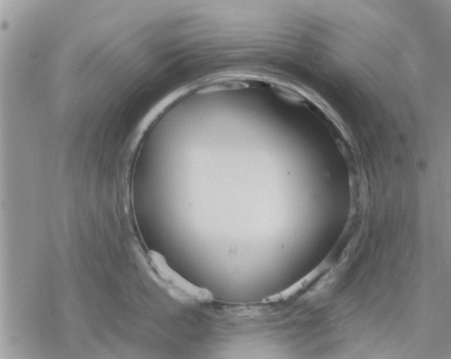 X0000078240862200611251237