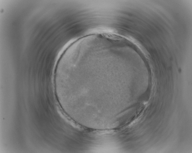 X0000078240864200611251237