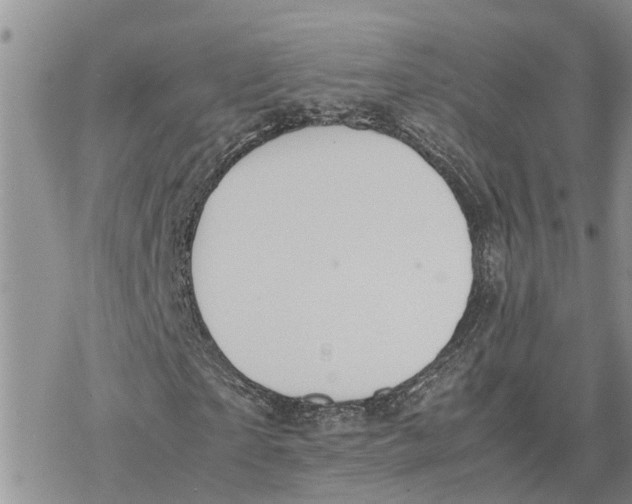 X0000078240865200611251236