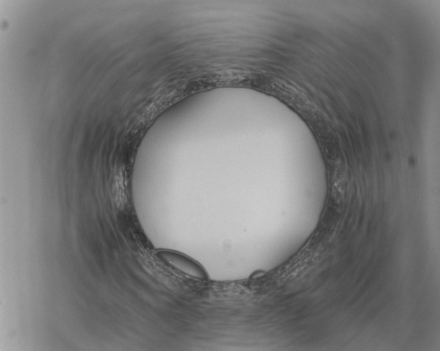 X0000078240866200611251236