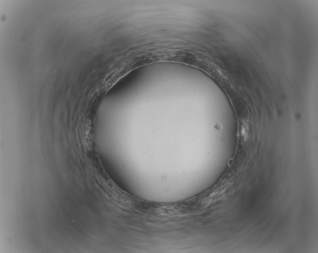 X0000078240867200611251236