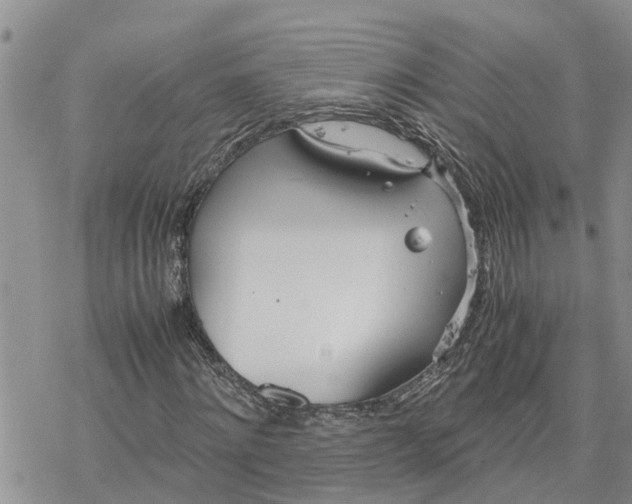 X0000078240868200611251236