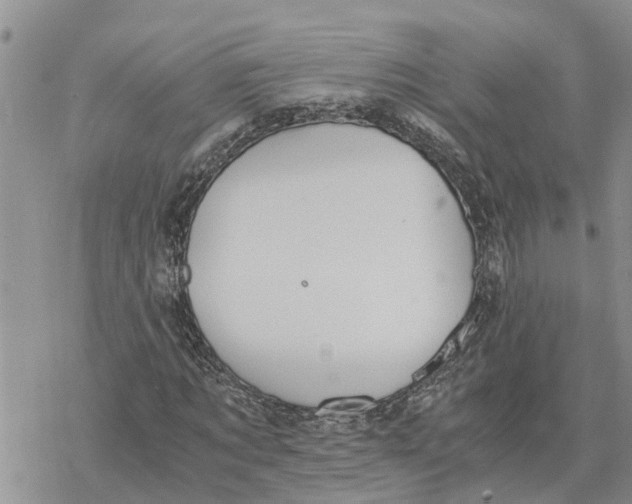 X0000078240869200611251236