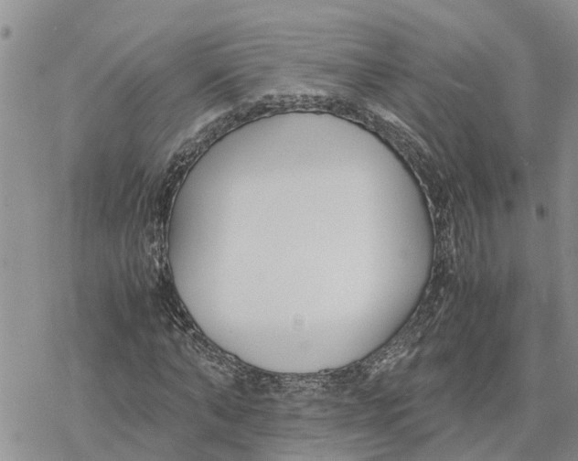 X0000078240870200611251236