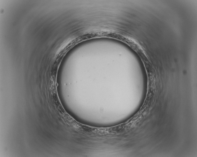 X0000078240871200611251236