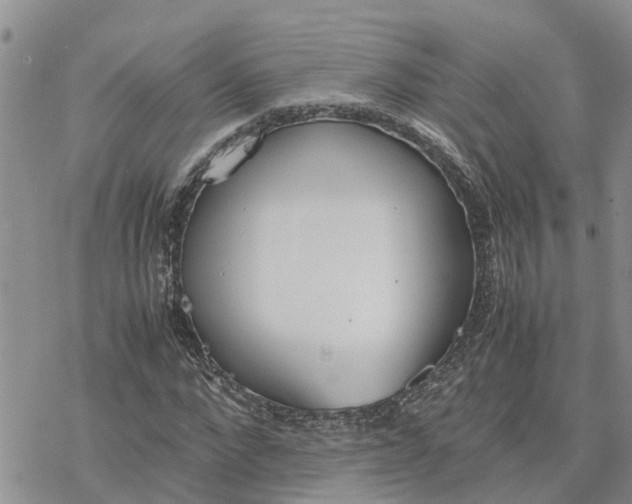 X0000078240872200611251236