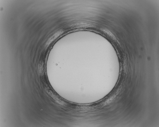 X0000078240873200611251236