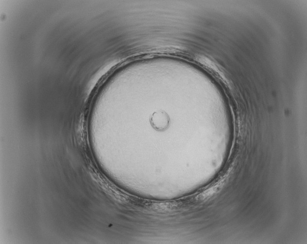 X0000078240875200611251236