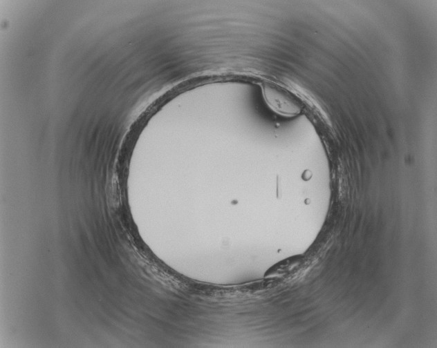 X0000078240876200611251236