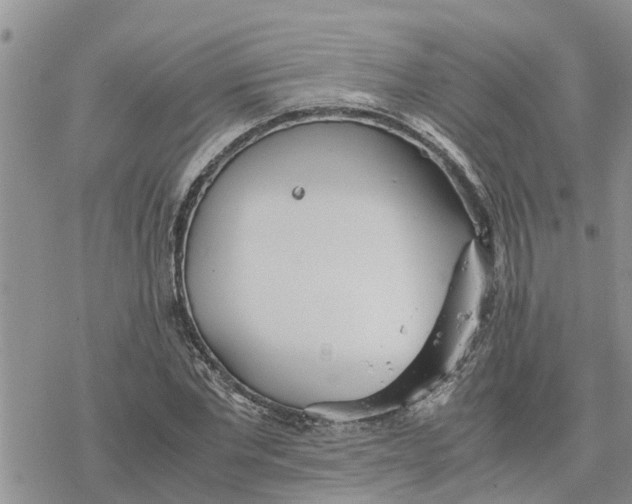 X0000078240877200611251236