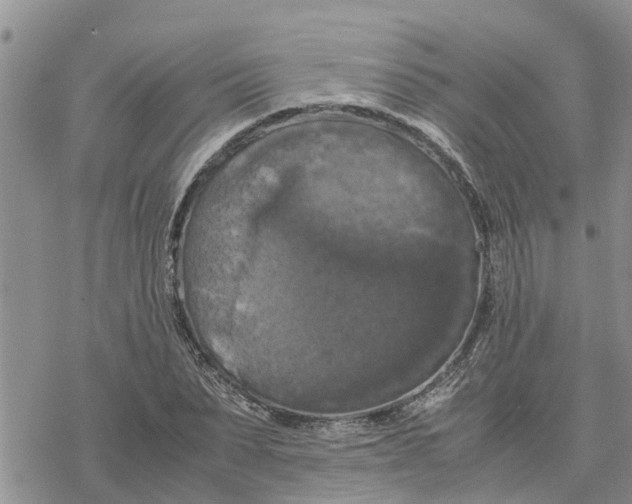 X0000078240879200611251236