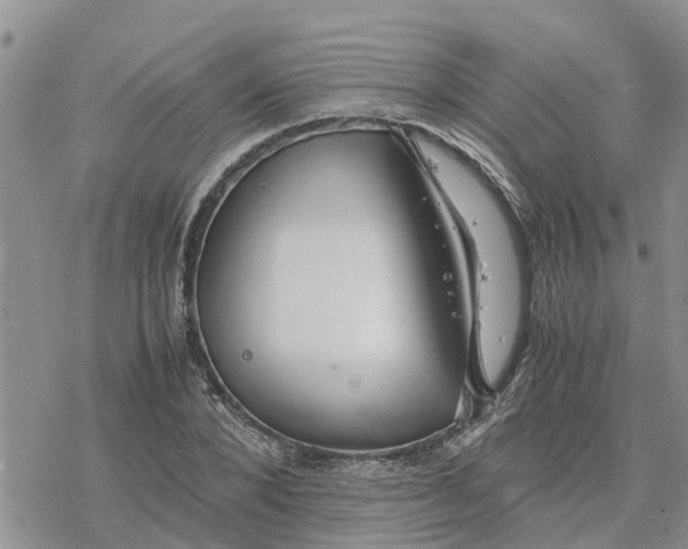 X0000078240880200611251236