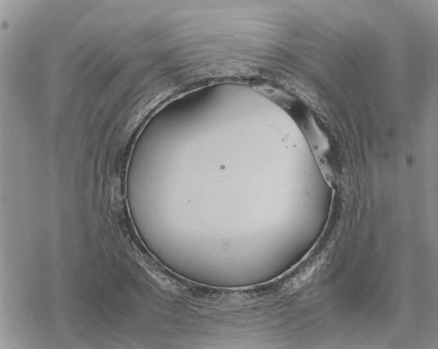 X0000078240881200611251236